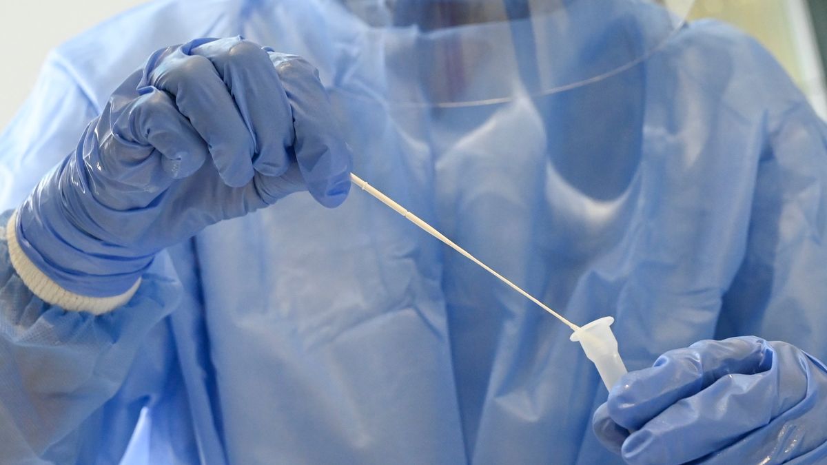 Už 374 firem nabízí v Česku antigenní testy. Kvalita se neověřuje